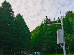 -贵阳市花溪国家城市湿地公园