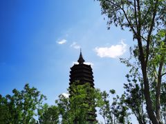 -西海子公园