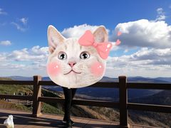 -凤凰山国家森林公园