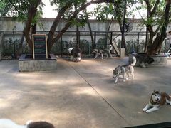 -TrueLove @ Neverland (Husky Cafe)