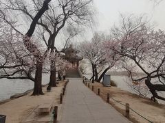-颐和园