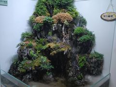 -鲜呦蒸汽石锅鱼(北辰路店)