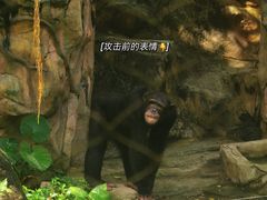 -广州长隆野生动物世界
