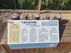 -佛慧山