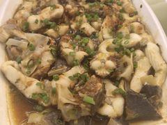 -四季大酒楼(白濠店)
