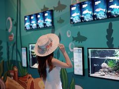 -海合安成都极地海洋公园