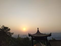 -铁山坪森林公园