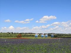 -御道口草原森林风景区
