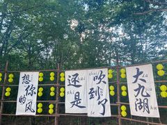 -大九湖