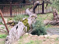 -草庵摩尼教遗址公园