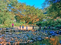 -广州市石门国家森林公园