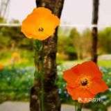 春日怎么能不踏青呢[加油]