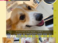 -宠小格时尚宠物生活馆(唐镇店)