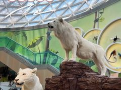 -陕西自然博物馆