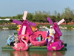 -荷兰花海
