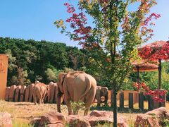 -沈阳森林动物园