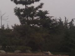 -铁道游击队纪念馆