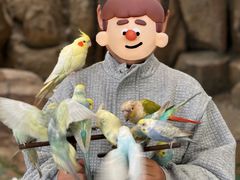 -西霞口神雕山野生动物世界