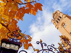 -上海佘山国家森林公园西佘山园