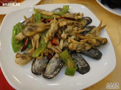 辣炒蛏子-海岛渔村大酒店(云霄路店)
