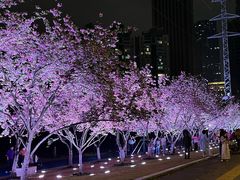 -西北湖绿化广场