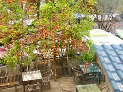 -田园印象·成都土菜院子(华阳店)