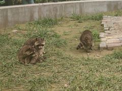 -青藏高原野生动物园