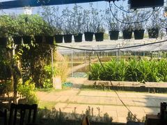 -Ohkajhu Organic Farm Sansai