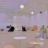 江门探店|纯白极简风 蛋糕味道很惊喜[调皮]