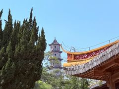 -江心屿景区