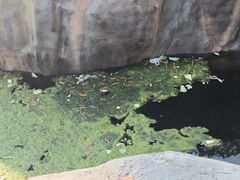 -武汉动物园