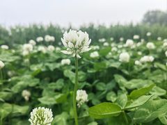 -朝阳公园