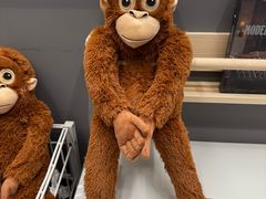 -宜家家居(四元桥商场店)