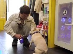 -福懋动物医院·犬猫全科·外科·重症科(杏林分院)