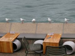 -Pancakes on the rocks(Darling Harbour)