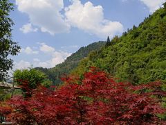 -神龙峡风景区