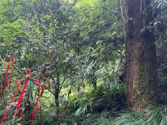 -梦姑塘文化公园