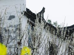-上坦村