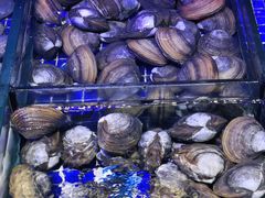 -青蓬蒸汽海鲜·深圳老字号·团建聚会(壹方城店)