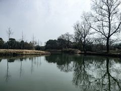 -西溪国家湿地公园