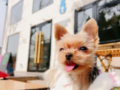 -小意思咖啡店(草桥店)
