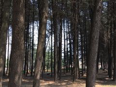 -茱萸湾风景区-售票处