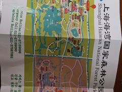 -上海海湾国家森林公园