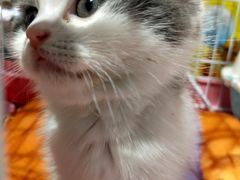 -龟与熊猫宠物公园(南坪店)