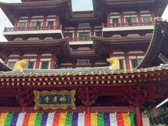 -新加坡佛牙寺龙华院