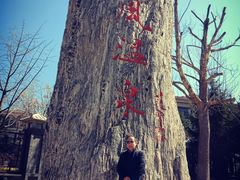 -金石唐风国际温泉会馆