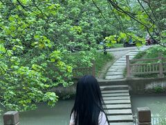 -桤木河湿地公园