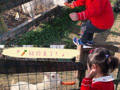 -田园东方蜜桃村的田野营地