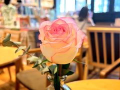 -猫的天空之城概念书店(杭州南宋御街店)