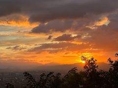 -杭州半山国家森林公园